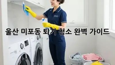 울산 미포동 퇴거 청소 완벽 가이드