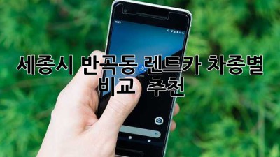세종시 반곡동 렌트카: 차종별 비교 & 추천